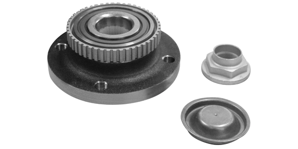 Wheel Bearing Kit (TQ-G9231001K)