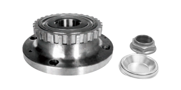 Wheel Bearing Kit (TQ-G9232012K)