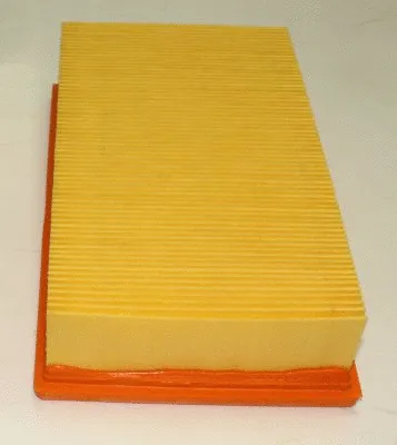 Air Filter (TQ-AF102)