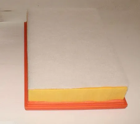 Air Filter (TQ-AF055)