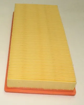 Air Filter (TQ-AF099)