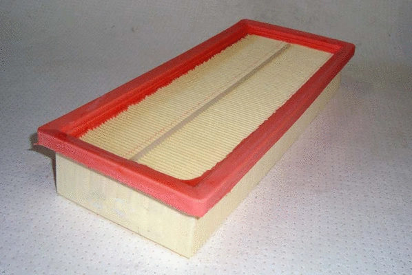 Air Filter (TQ-A2109)