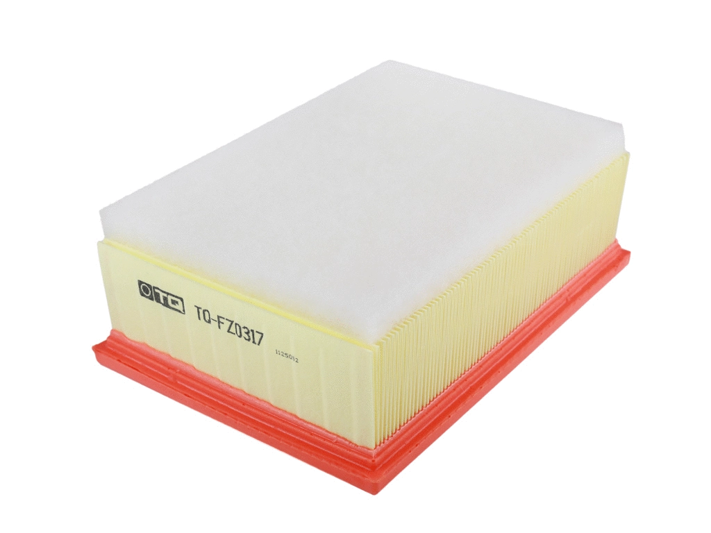 Air Filter (TQ-FZ0317)