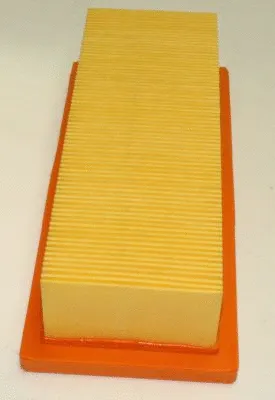 Air Filter (TQ-AF046)
