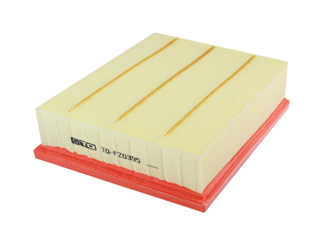 Air Filter (TQ-FZ0395)