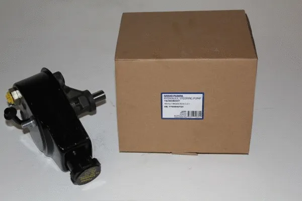 Hydraulic Pump, steering (TQ-MZ-E003T)