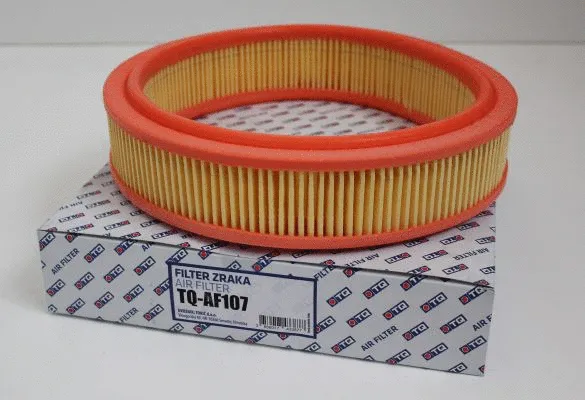 Air Filter (TQ-AF107)