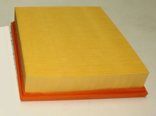 Air Filter (TQ-AF127)