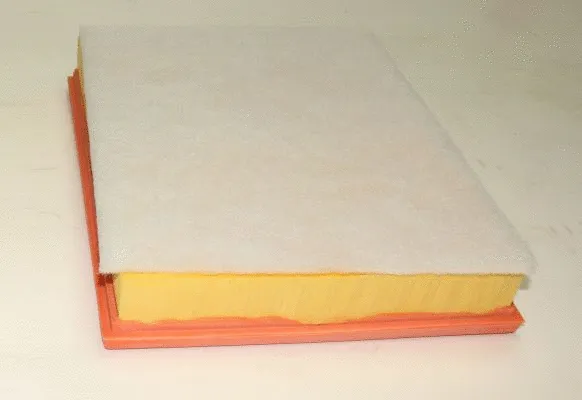 Air Filter (TQ-AF086)