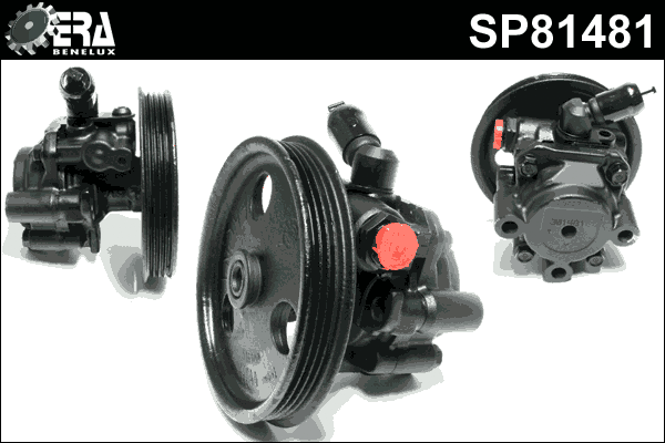 Hydraulic Pump, steering (SP81481)