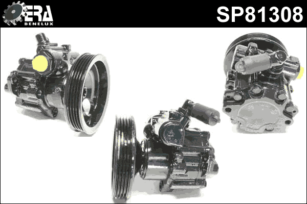 Hydraulic Pump, steering (SP81308)