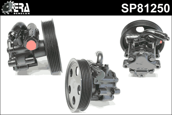 Hydraulic Pump, steering (SP81250)