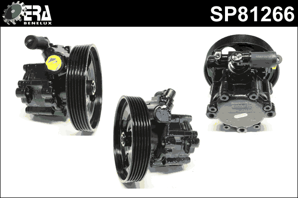 Hydraulic Pump, steering (SP81266)