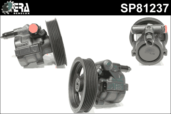 Hydraulic Pump, steering (SP81237)