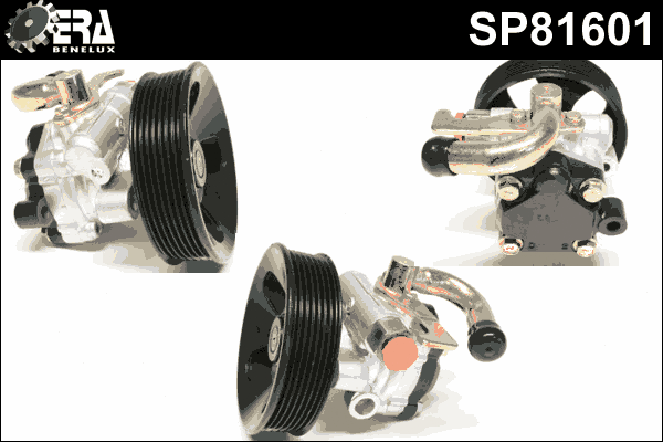 Hydraulic Pump, steering (SP81601)