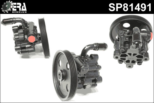 Hydraulic Pump, steering (SP81491)