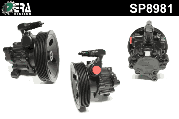 Hydraulic Pump, steering (SP8981)