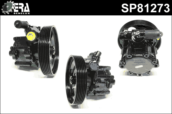 Hydraulic Pump, steering (SP81273)