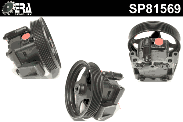 Hydraulic Pump, steering (SP81569)