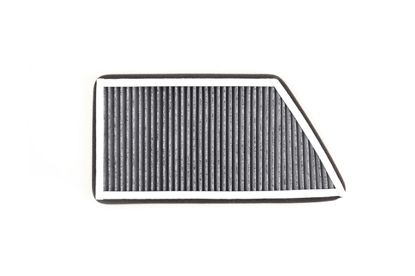 Filter, cabin air (SAK 176)
