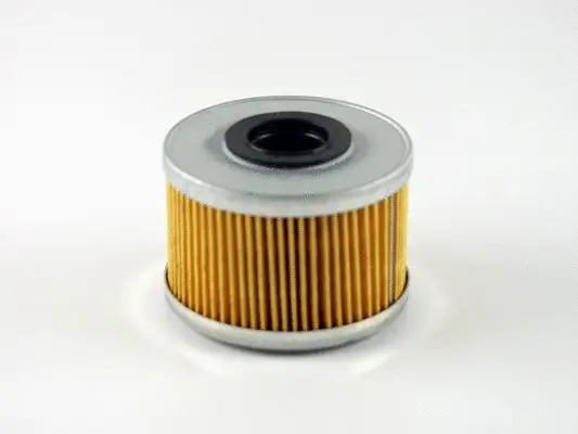 Fuel Filter (ST 756)