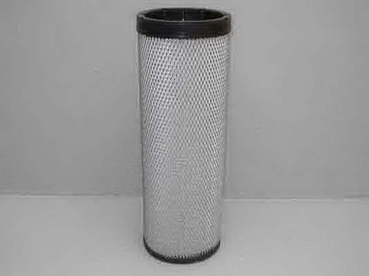 Secondary Air Filter