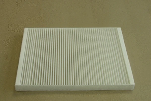 Filter, cabin air
