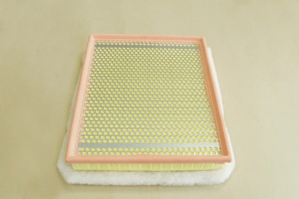 Air Filter (SB 2161)