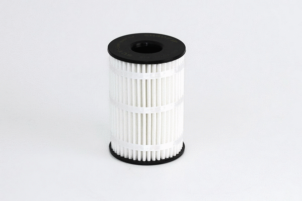 Oil Filter (SH 4071 L)