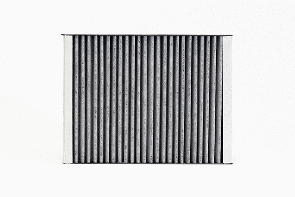 Filter, cabin air (SAK 224)