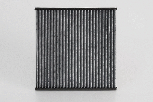 Filter, cabin air (SAK 222)