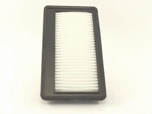 Air Filter (SB 981)