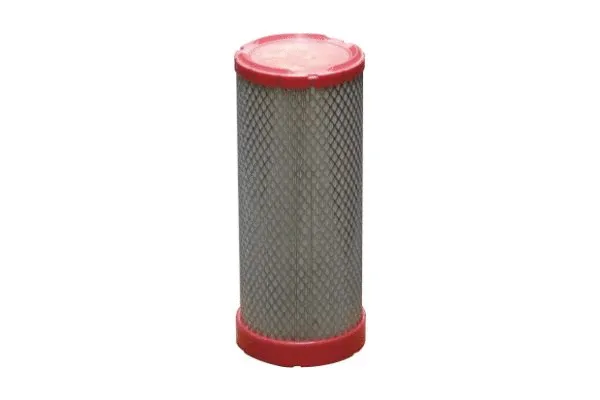 Secondary Air Filter
