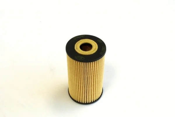 Oil Filter (SH 424 P)