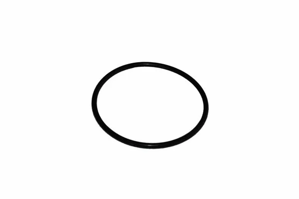 Fuel Filter (SC 7049 P)