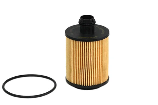 Oil Filter (SH 4066 P)