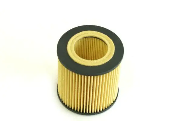 Oil Filter (SH 4032 P)