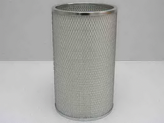 Secondary Air Filter