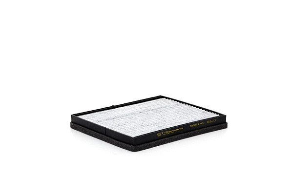 Filter, cabin air (SAK 141)