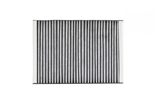 Filter, cabin air (SAK 321)