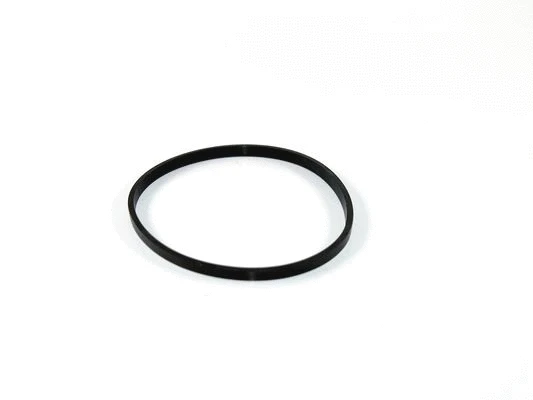 Fuel Filter (ST 703)