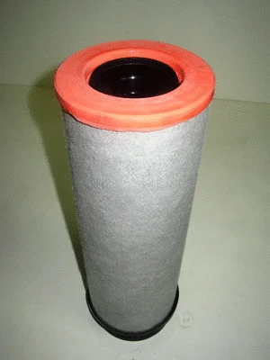 Secondary Air Filter
