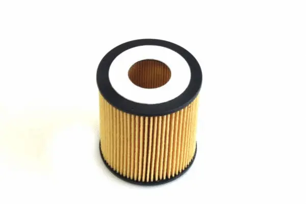 Oil Filter (SH 4791 P)