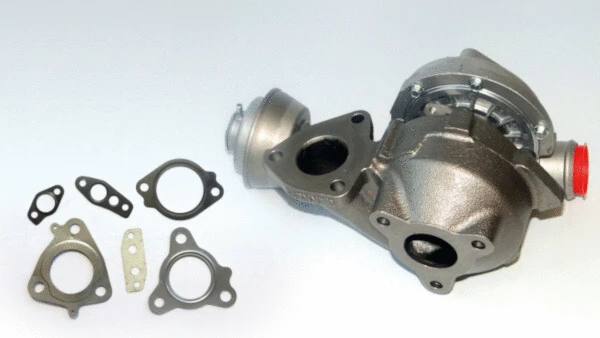 Charger, charging (supercharged/turbocharged) (91-1829)