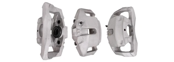 Brake Caliper (83-2579)