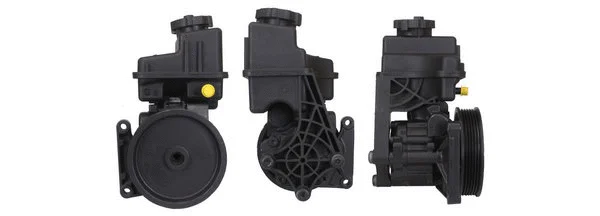 Hydraulic Pump, steering (15-1376)