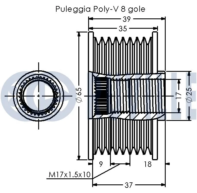Alternator Freewheel Clutch