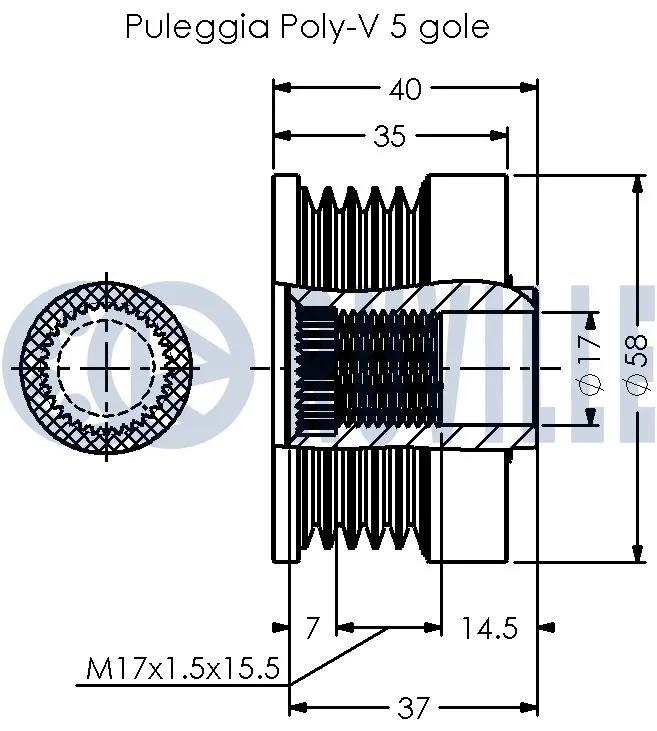 Alternator Freewheel Clutch