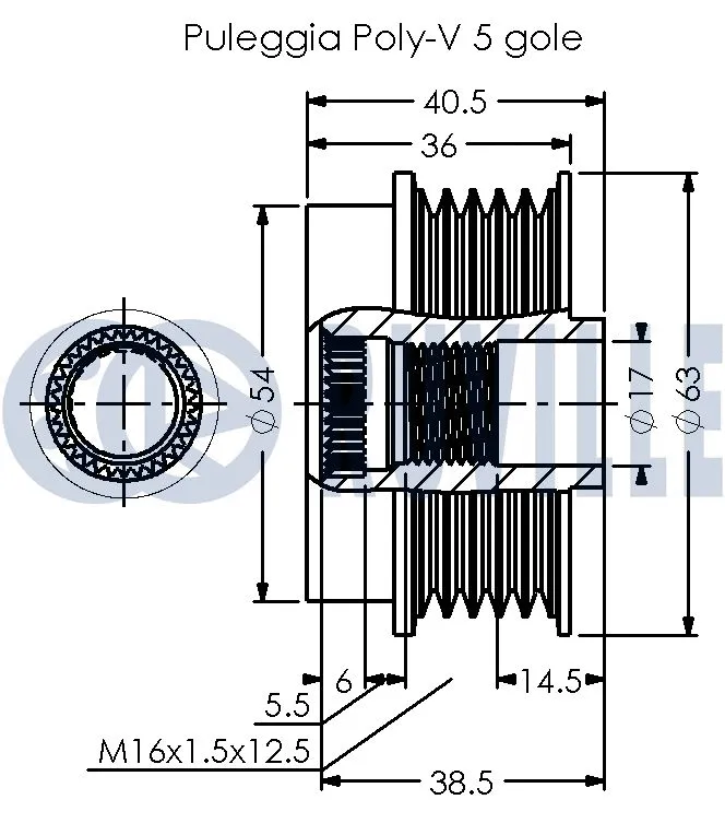 Alternator Freewheel Clutch
