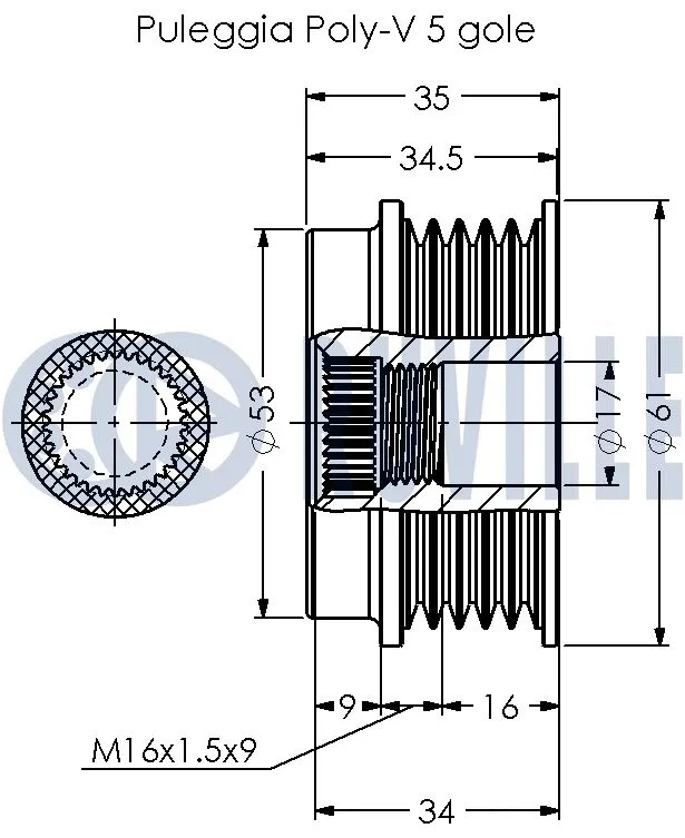 Alternator Freewheel Clutch